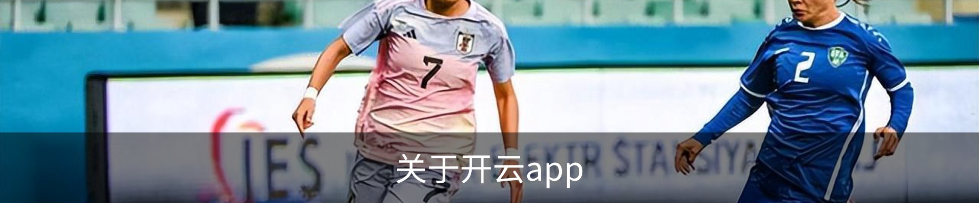 关于开云app