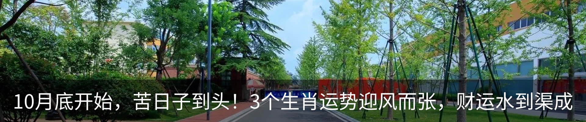 行业资讯